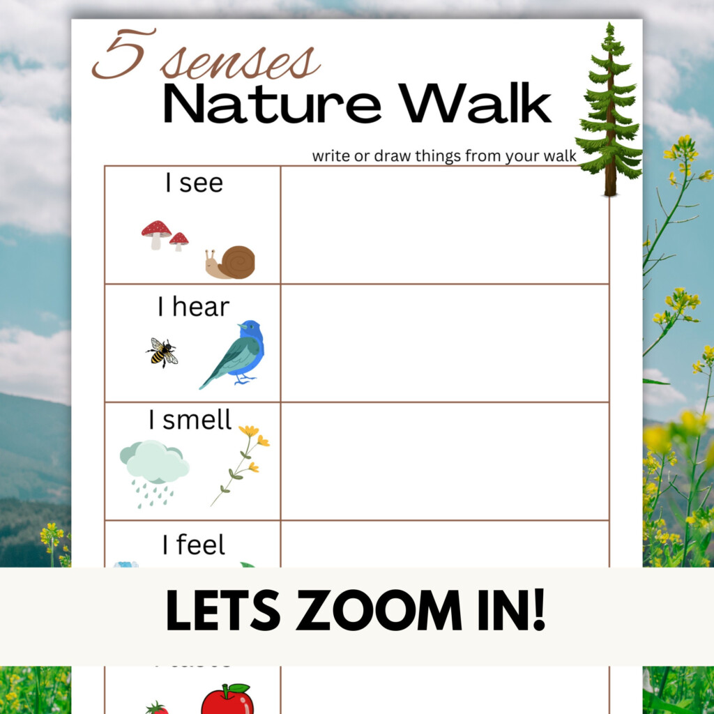 5 Senses Nature Walk Scavenger Hunt Printable Outside Etsy