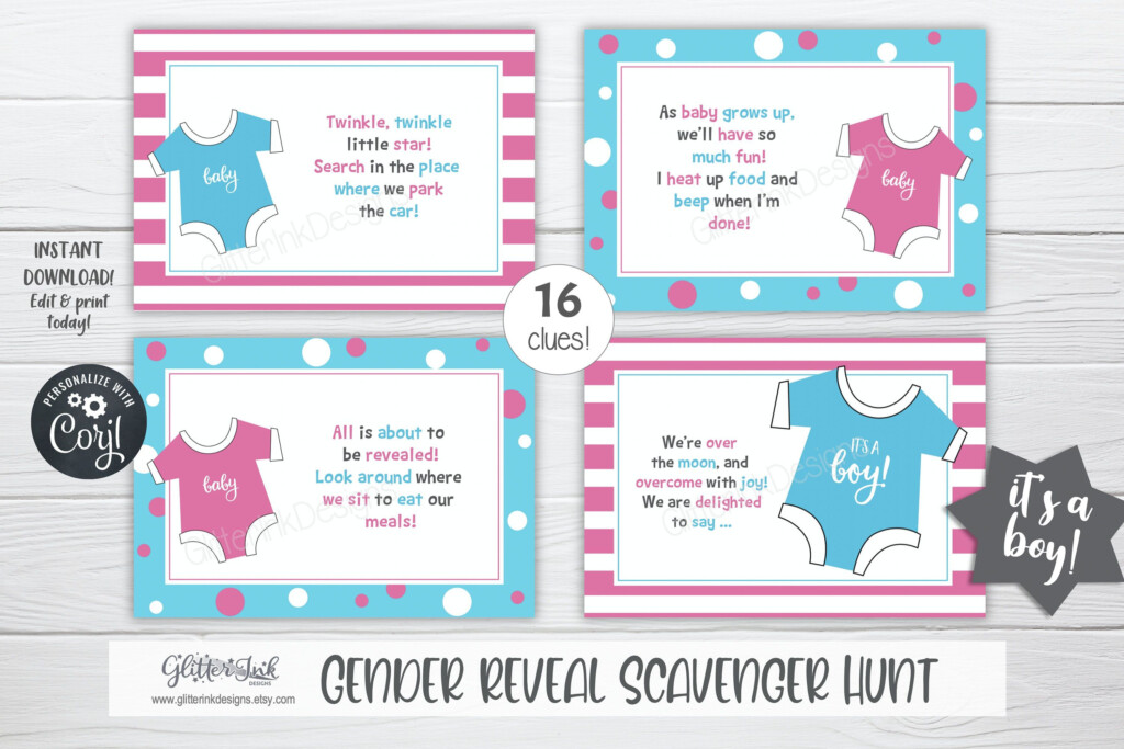  A BOY OR A GIRL WHICH WILL IT BE This Editable Printable Scavenger 