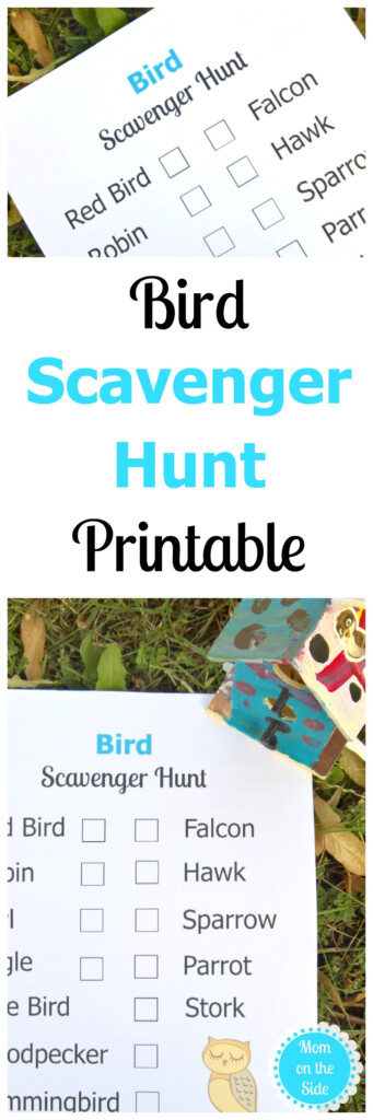 Bird Scavenger Hunt Printable For Kids Mom On The Side