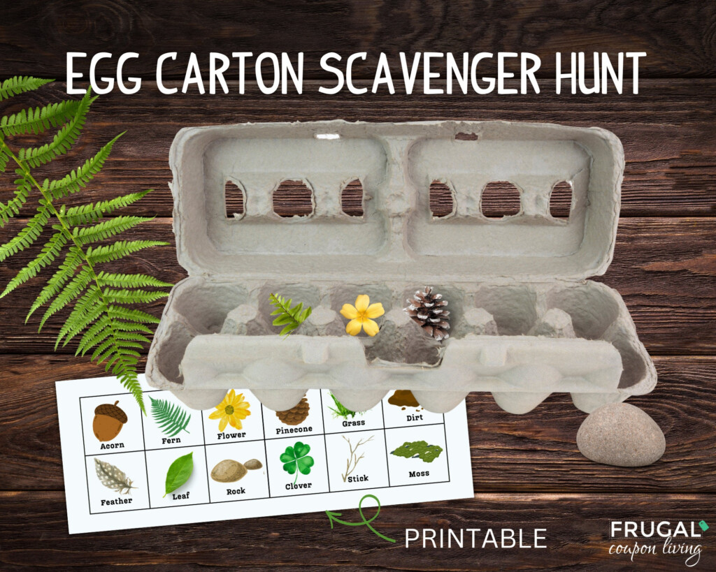 Egg Carton Scavenger Hunt Printable Printable Nature Etsy