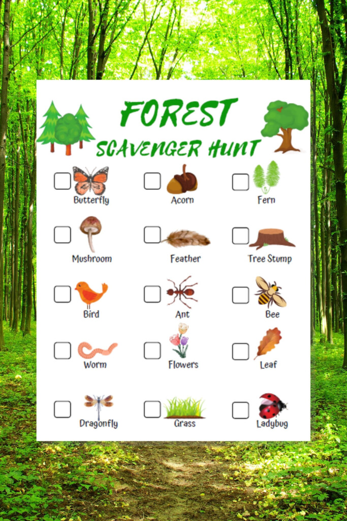 Forest Scavenger Hunt Nature Scavenger Hunt Charlotte Mason Printables 