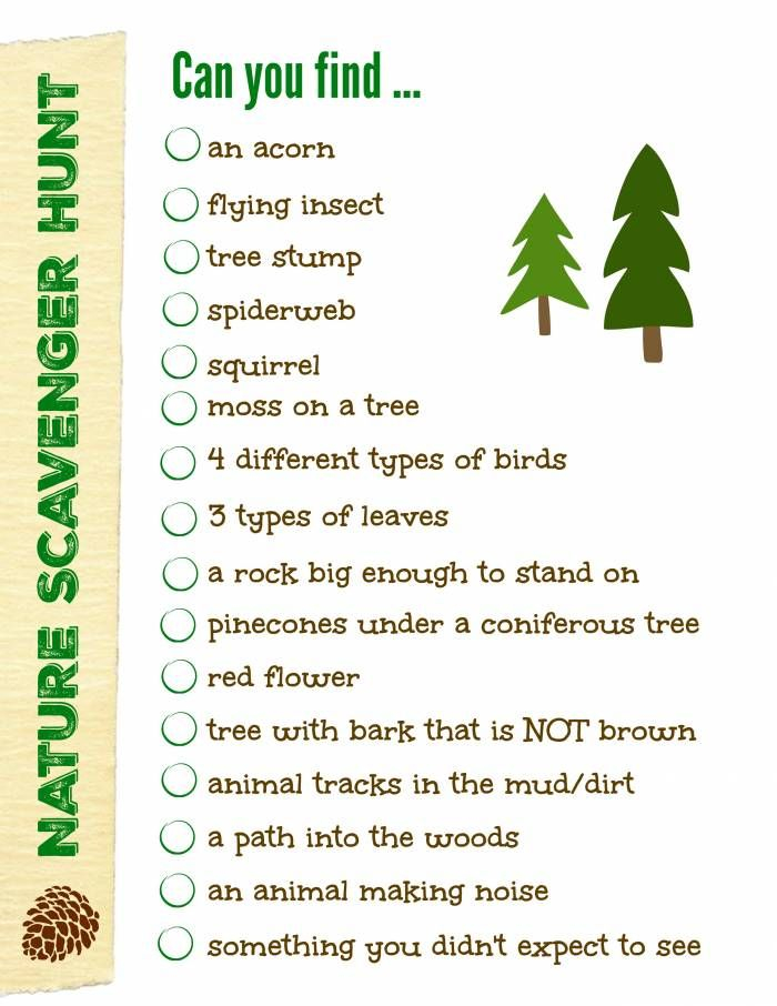 Forest Scavenger Hunt Printable Free