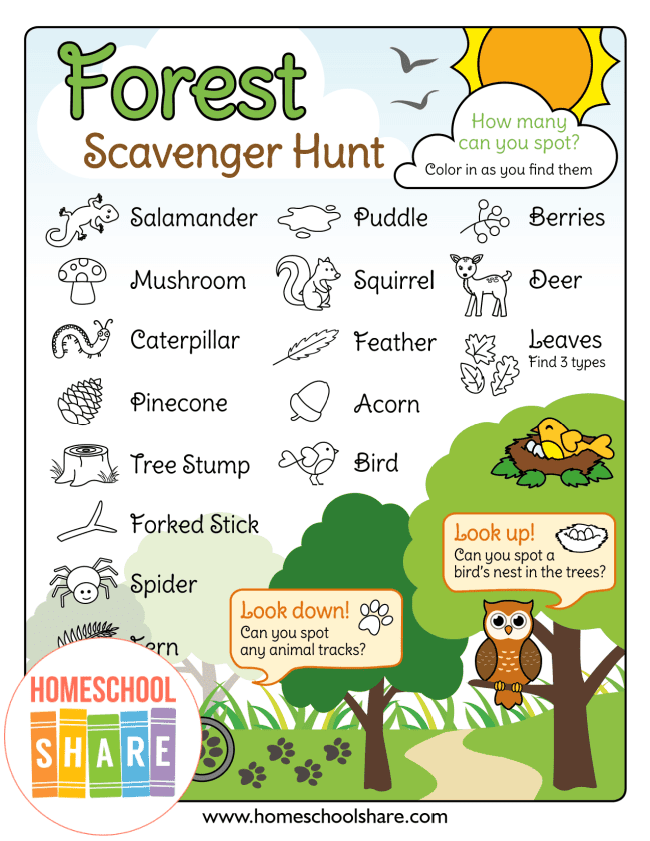 Free Forest Scavenger Hunt Homeschool Share