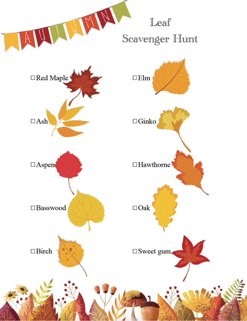 Free Printable Fall Scavenger Hunts 7 Options