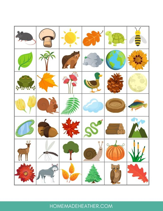 Free Printable Nature Scavenger Hunt Bingo Card Upfapi