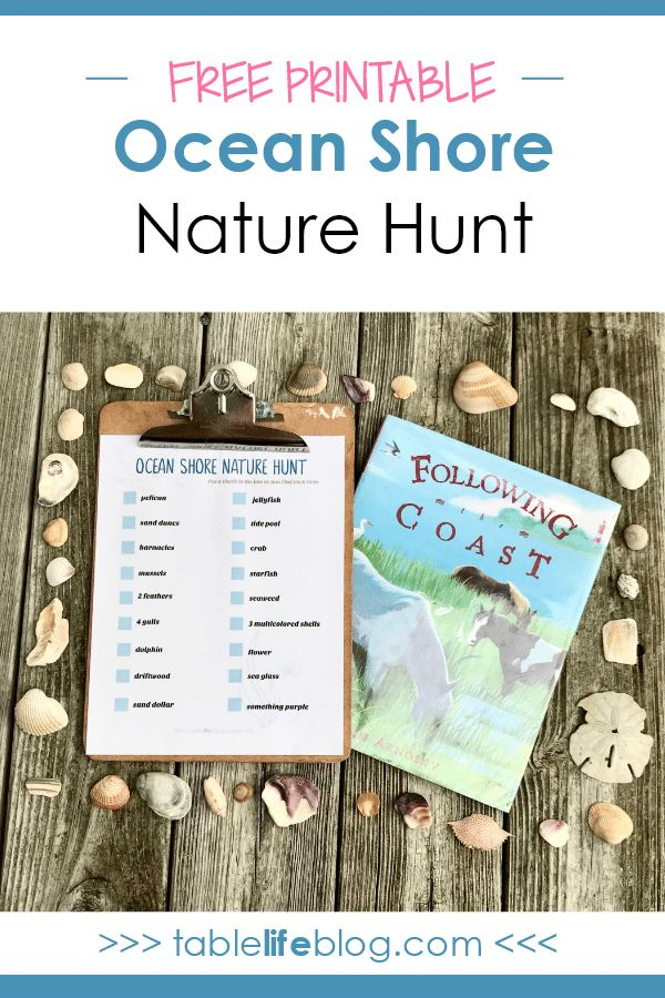 FREE Printable Ocean Shore Nature Scavenger Hunt For The Summer 