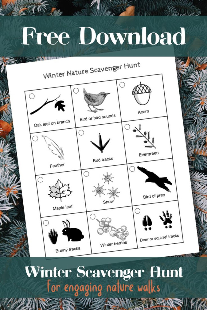 Free Printable Winter Scavenger Hunt