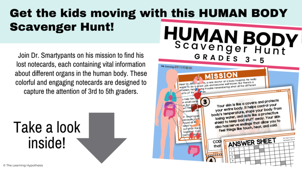 Human Body Scavenger Hunt Grades 3 5 The Learning Hypothesis