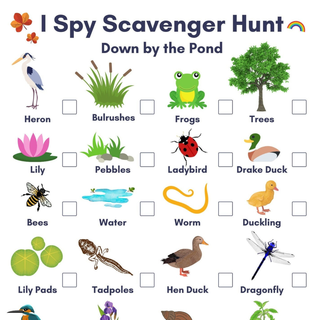 I Spy Pond Life Scavenger Hunt Print At Home PDF Downloadable Activity 