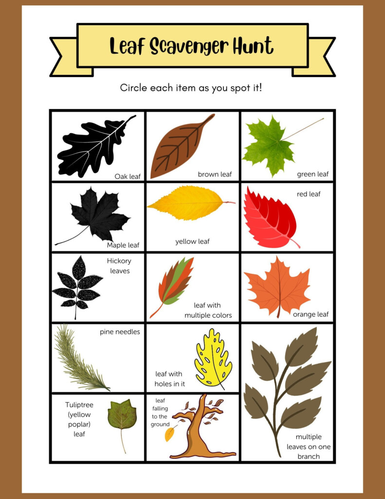 Leaf Scavenger Hunt Downloadable PDF Etsy