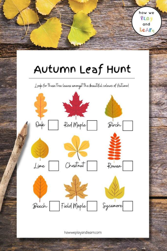 Leaf Scavenger Hunt Printable Calendar Printables