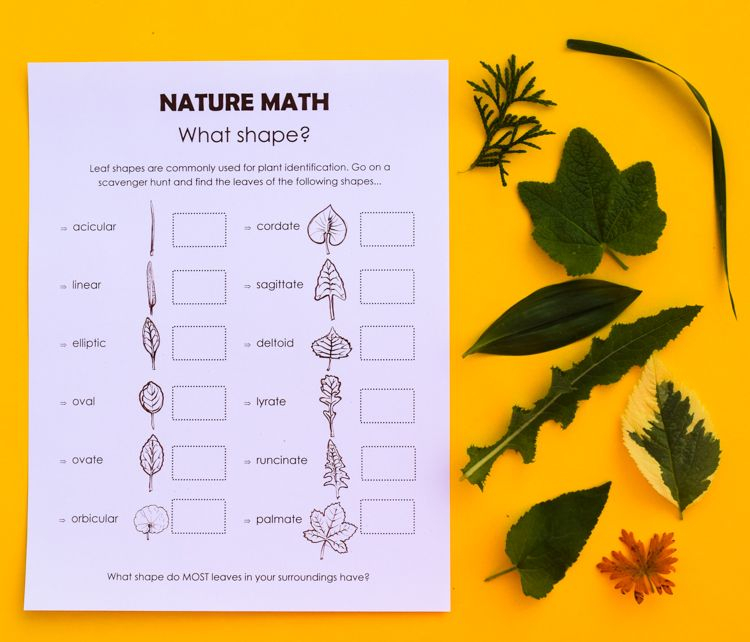 Math In Nature Scavenger Hunt For Kids Scavenger Hunt For Kids 