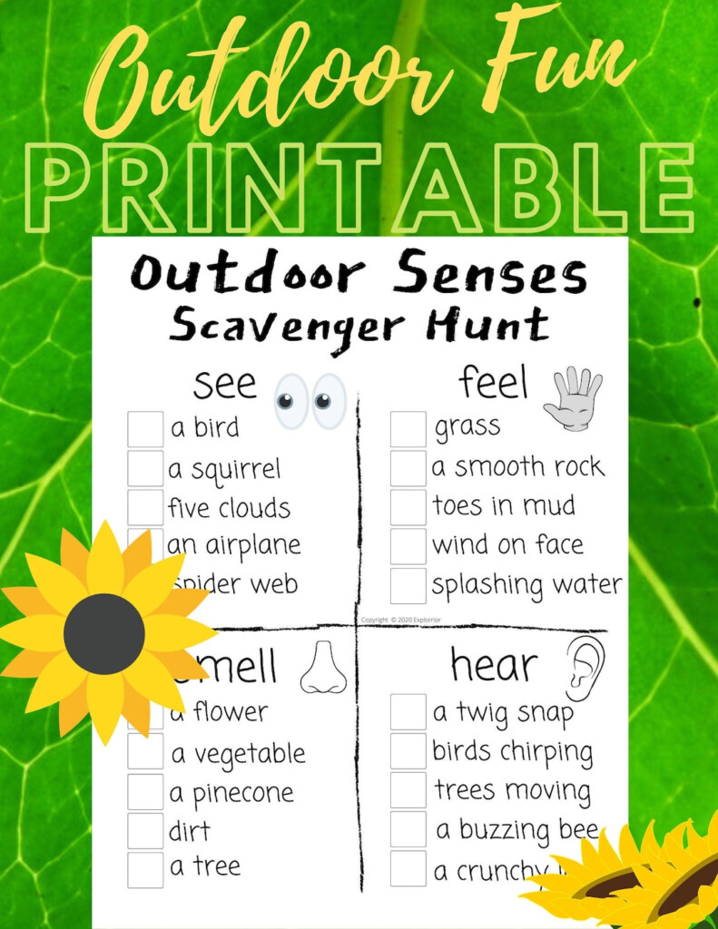 Outdoor Senses Scavenger Hunt Printable Etsy