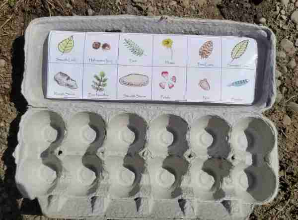 Printable Egg Carton Scavenger Hunt Wonder Filled Days