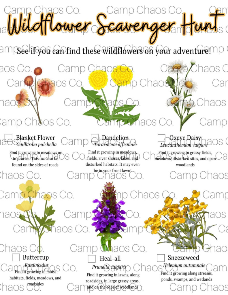 Printable Wildflower Scavenger Hunt Printable Outdoor Activity 