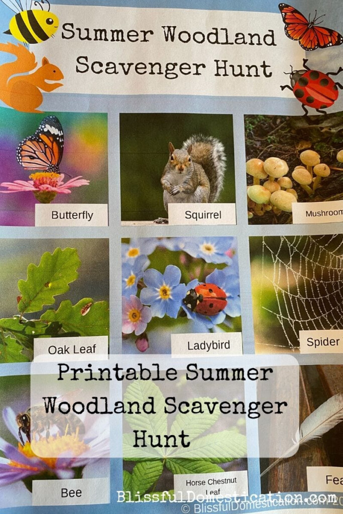 Summer Woodland Scavenger Hunt For Kids With FREE Printable Blissful 