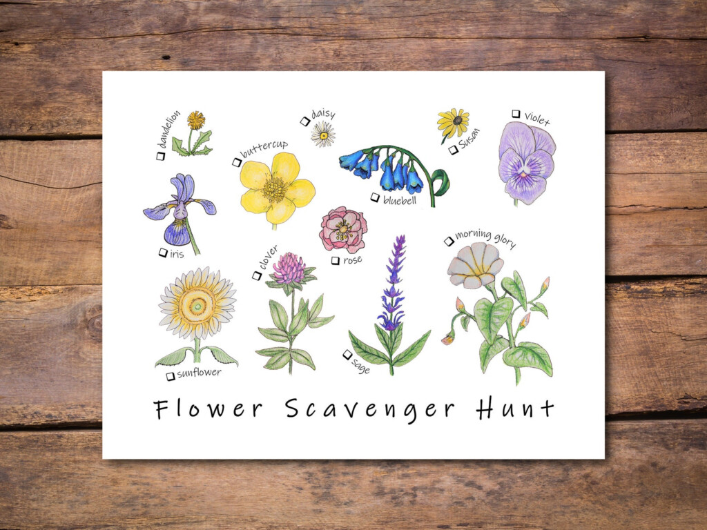 Wildflower Scavenger Hunt Printable Game For Camping With Etsy