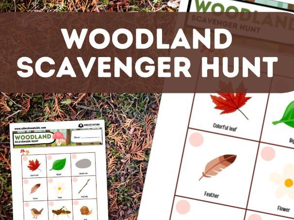 Woodland Scavenger Hunt Printable Teaching Resources